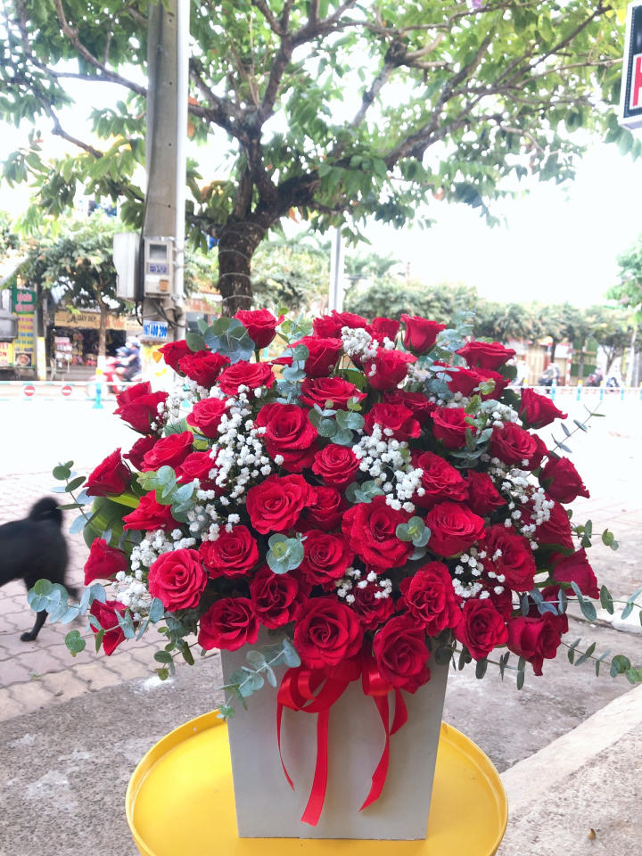  Shop Hoa Tươi Huyện An Phú, An Giang